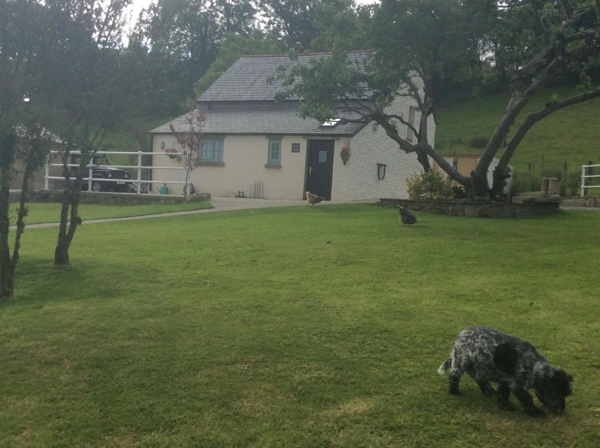 The Little Cow Shed Villa Суонзи Екстериор снимка